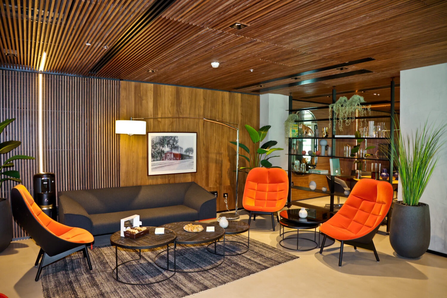 imgi_61_לאוגנ-כתום-scaled