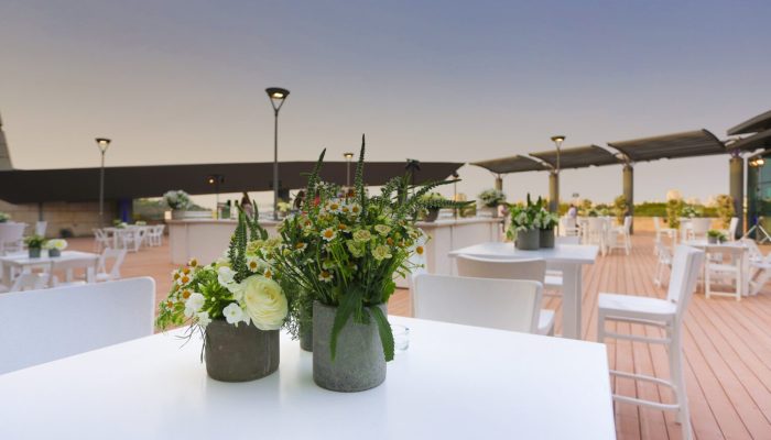 גלריה דף הבית (15)